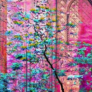 “Cherry Blossom” Original digital image printed on archival photographic paper.